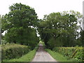 Farm road to Langabeare Barton