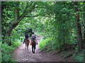 Bridleway on the Border, near Iverley, Staffordshire