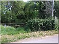 Large Pond at Clay Common