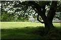 Farm above Summerbridge