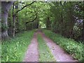 Tree lined track near Daggons