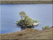 NG8880 : The crannog marked on Loch Kernsary by Roger McLachlan