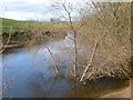 River Swale, Near Rush Farm