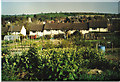 The allotments