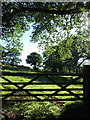 Gate into field at Loughwood