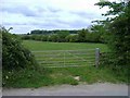 Looking towards Henley Hill