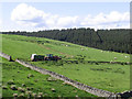 Livestock field on Green Hill