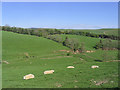 Livestock farmland