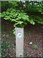 Bucksburn Valley Paths sign