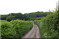 Lane to Great Shuttlesfield Farm