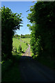 TR1740 : Lane towards Shuttlesfield by Robin Webster