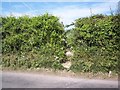 Footpath towards Farnham