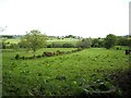 Tireighter Townland