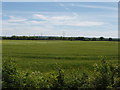 Field opposite Foxley Farm