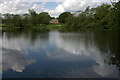 Lake at Almeley