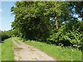 Bridleway near Henwood Farm