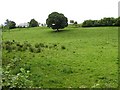 Parkhill Townland