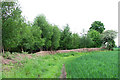 Field Boundary near Burnhill Green, Shropshire