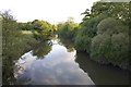 River Torridge at Hele Bridge, Devon