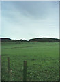 NJ5440 : Pasture by Andrew Stuart