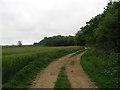 Bridleway beside Short Wood.