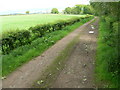 Track leading to Threave Mains