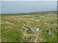 Moorland at An Leth Meadanach