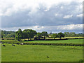 SJ6770 : View towards Davenham church by Mike Harris