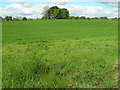 Farmland and site of cairn