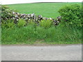 Roadside and farmland north of Crofts