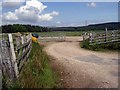 The road to Blairboych