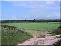 Fields Off Green lane