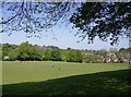 Box playing fields