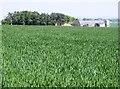 Arable fields near Hatt Farm