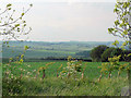 Wolds View