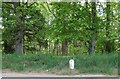 Milestone by A944 near Waterside