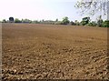 Field north west of Bradford-on-Avon