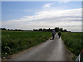 Shire horses and lady riders on the road to Balne