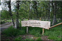 NJ0831 : Delliefure natural burial ground by Des Colhoun