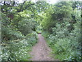 Track near Pentylands Farm, Highworth