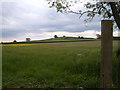 Fields up to Crouch Hill, Highworth