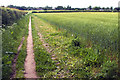 Field edge footpath near Dunham Town