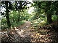 Path from Gullet Quarry