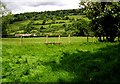 Farmland near Llanwenarth