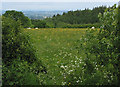 Grazing land from May Hill Village