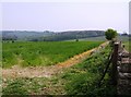 Fields near Castle Barn Farm