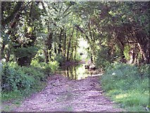 SU0817 : Ford through River Allen near Damerham by Maigheach-gheal