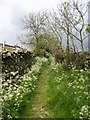 Skelgate Lane, Reeth.