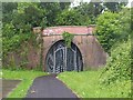 Mouth of old Heathfield tunnel