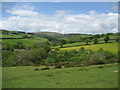 Field on flanks of Disgwylfa Hill